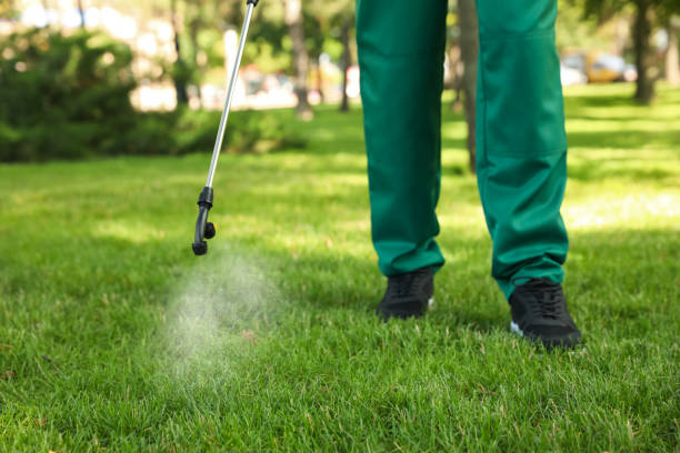 Best Local Pest Control Services  in Guthrie Center, IA