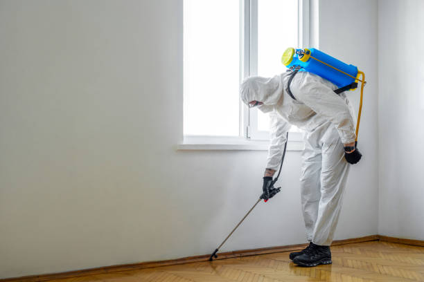 Best Residential Pest Control  in Guthrie Center, IA
