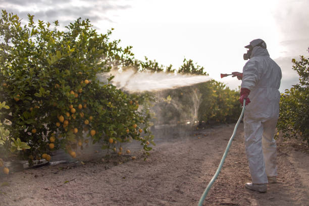 Best Best Pest Control Companies  in Guthrie Center, IA