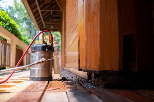 Best Wasp Removal Services  in Guthrie Center, IA