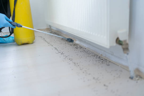 Best Affordable Pest Control Services  in Guthrie Center, IA